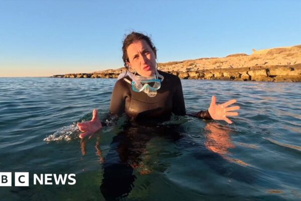 Can you un-bleach coral? BBC visits remote reef to find out