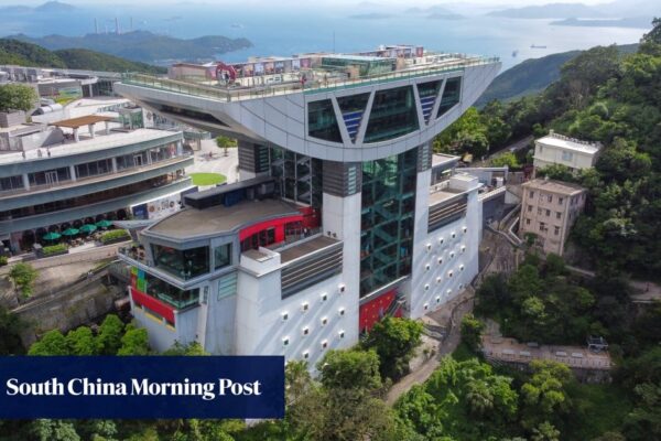Indonesian tourist arrested at Hong Kong’s The Peak after tumbler hits woman