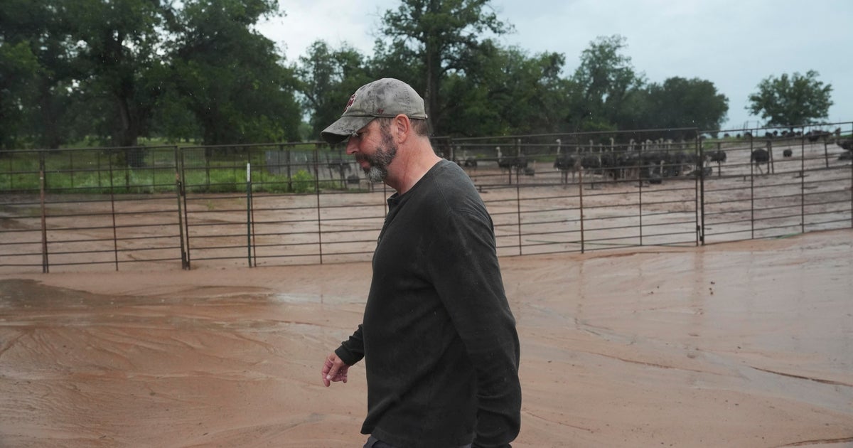 Texas floods endangered livestock and damaged crops. Here's how farmers are dealing with the aftermath of the disaster