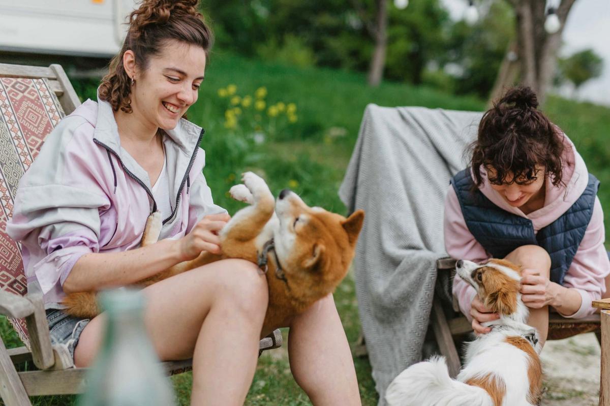 Montana’s Paws Up Resort Ranks Among Best for Pets