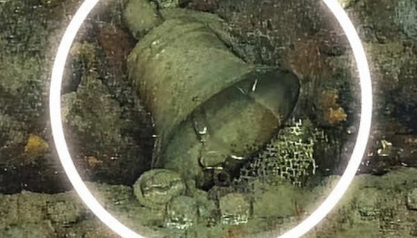 Explorers find torpedoes, bell from U.S. destroyer that sank with 167 crew on board during WWII