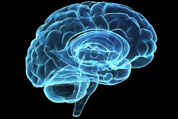 World Brain Day: Poor Diet, Unhealthy Lifestyle, Pollution Harm Brain Health