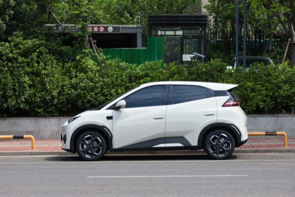 China’s EV Boom Could Turn Into The Hunger Games