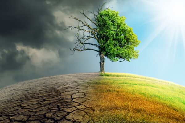Deep Sky’s $40M DAC Hub Backed By Bill Gates Draws Global Carbon Tech Surge After Trump Fuels U.S. Climate Uncertainty Deep Sky's $40M DAC Hub Backed By Bill Gates Draws Global Carbon Tech Surge After Trump Fuels U.S. Climate Uncertainty