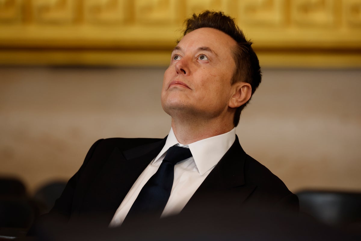 Elon Musk admits ‘rough’ times ahead for Tesla as company focuses less on selling cars, more on robo-taxis