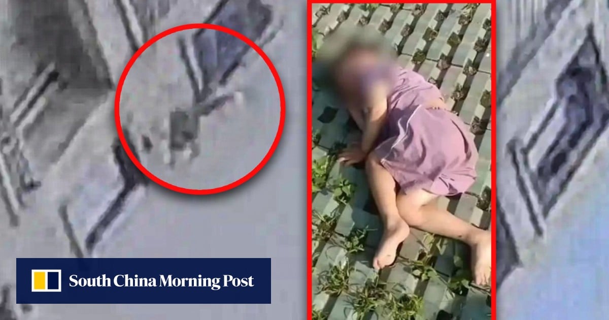 China boy, 3, survives 18-floor plunge; dad honours ‘life-saving tree’ with big red flower