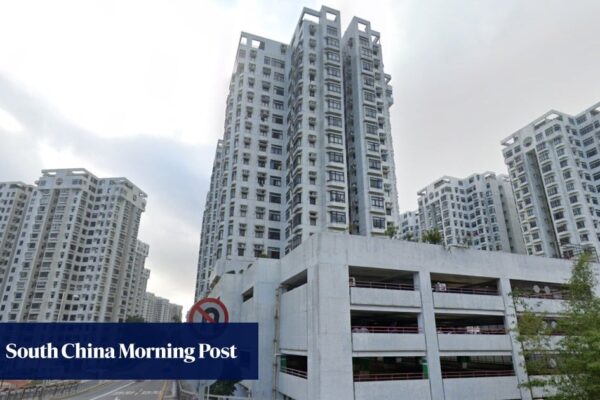Hong Kong teen arrested for alleged drug trafficking after friend, 16, dies