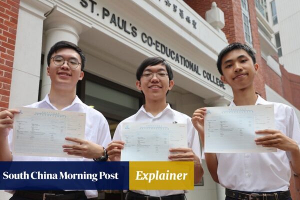 Explainer | Super scorers in Hong Kong’s DSE exams share the secrets of their success Explainer | Super scorers in Hong Kong’s DSE exams share the secrets of their success
