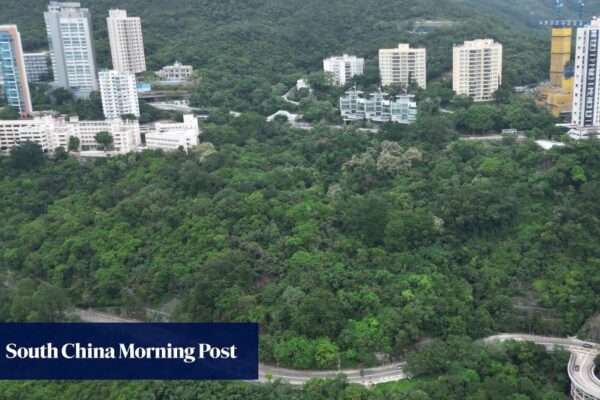 HKU, officials push back against Hongkongers’ development site proposal
