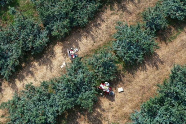 China’s ‘new farmers’ learn to livestream in rural revitalisation Yahoo news home
