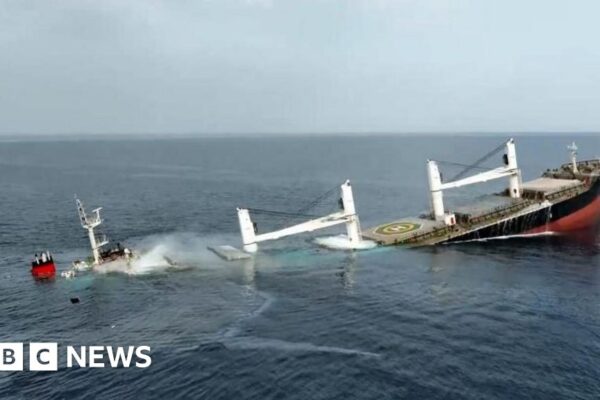 Yemen Houthis sink second Red Sea cargo ship in a week