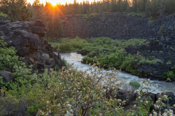 1 dead, 2 missing after being swept down Oregon waterfall