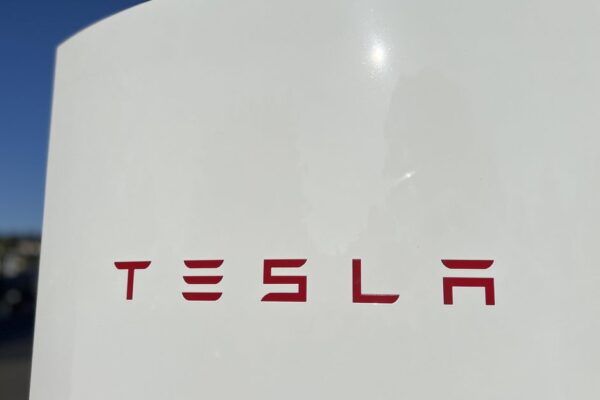 Tesla profit slumped in second quarter, a sign Musk is hurting the brand