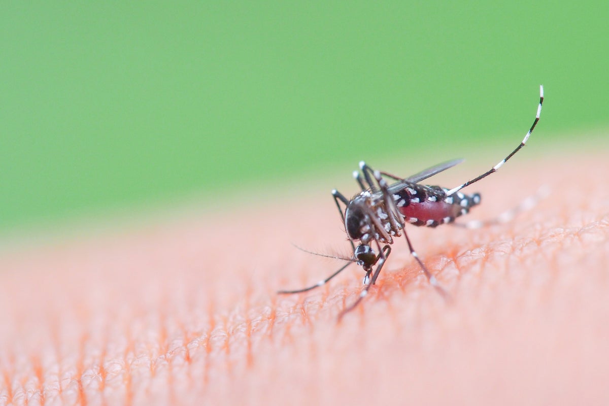 US considers China travel warning after nearly 5,000 cases of deadly virus Chikungunya