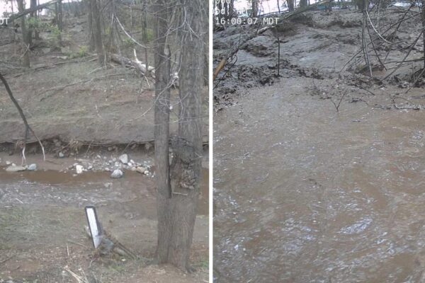 New Mexico flash flooding emergency declared, multiple rescues underway