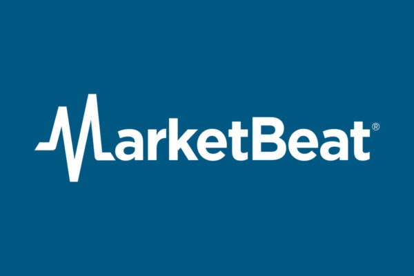 Top Electric Vehicle Stocks Worth Watching Best Electric Vehicle Stocks To Consider
