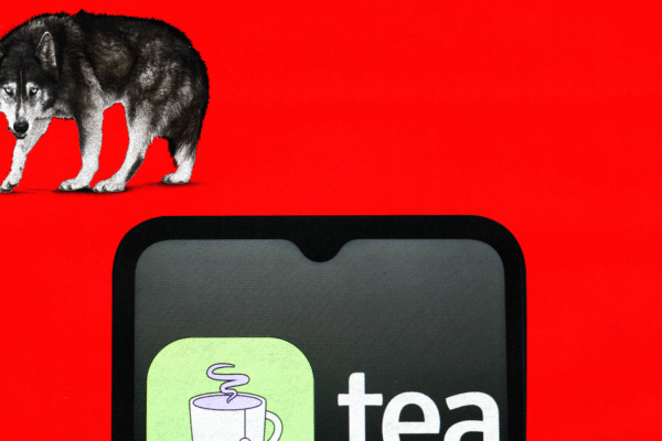 First Came Tea. Then Came the Male Rage.
