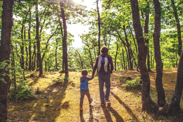 ‘It’s a public health necessity’ "It is crucial to maintain or even increase access."
