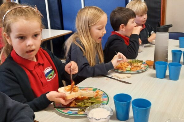 Swansea councillors to sample school meals ahead of healthy eating overhaul