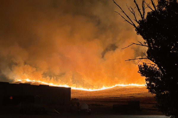 Madre Fire burning over 35,000 acres in California, largest in the state this year Madre Fire burning over 35,000 acres in California, largest in the state this year