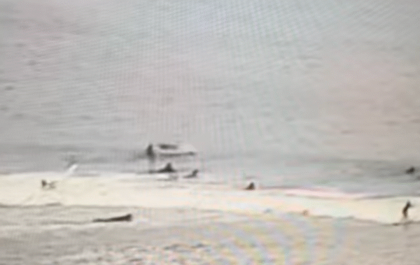 Video shows airborne shark hitting surfer's face in Florida: "Like a truck"