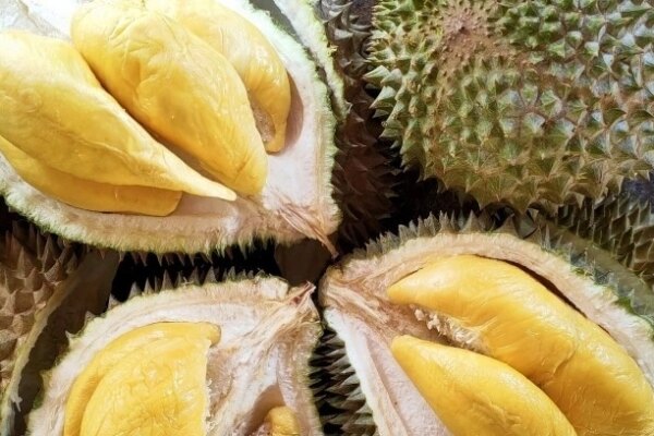 Hong Kong actress Kelly Fu enjoys 12 durians during her first visit to Malaysia
