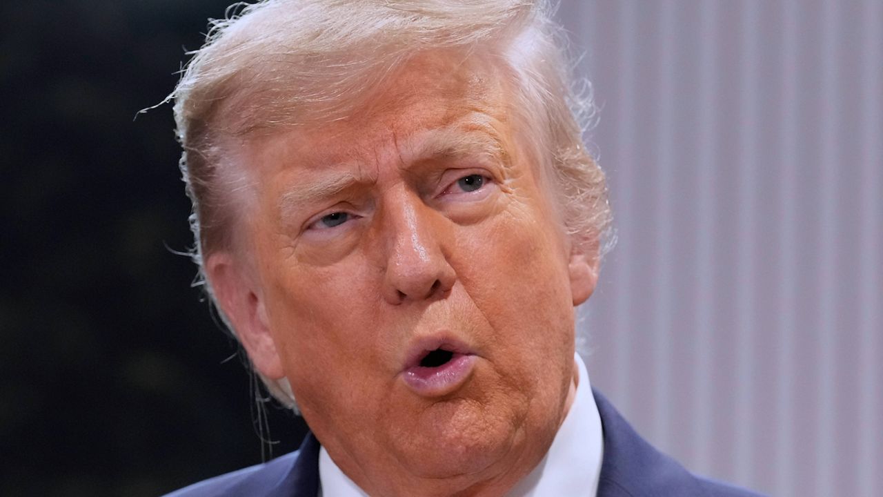 President Donald Trump (AP Photo/Mark Schiefelbein, File)