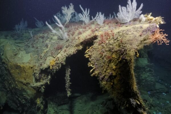 Severed bow of famed U.S. ship torpedoed in WWII found on Pacific seafloor