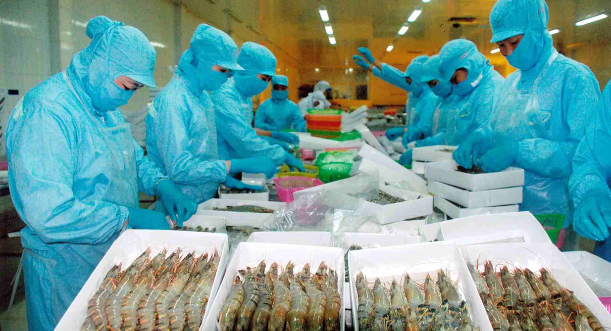 China surpasses US as top importer of seafood from Vietnam