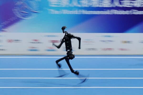 Tesla Optimus rival Unitree shines at China's world robot games