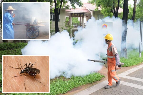 Severe outbreak of mosquito-borne chikungunya virus infects 8,000 in China Severe outbreak of mosquito-borne chikungunya virus infects 8,000 in China