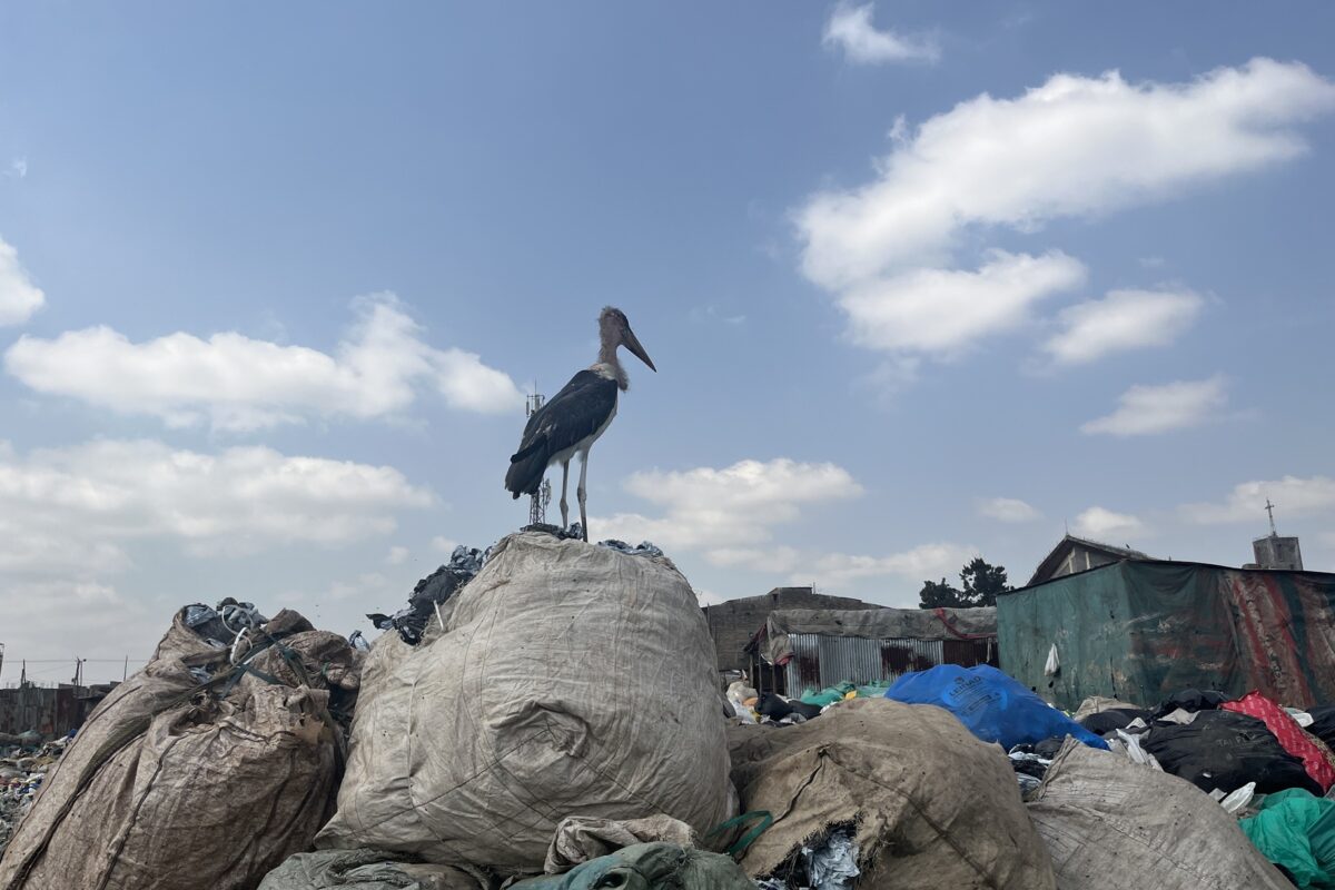 As Africa pays the price for rich world’s fast fashion fix, new French bill targets brands