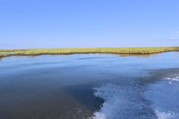 Louisiana scraps coastal erosion project designed to rebuild the state's wetlands