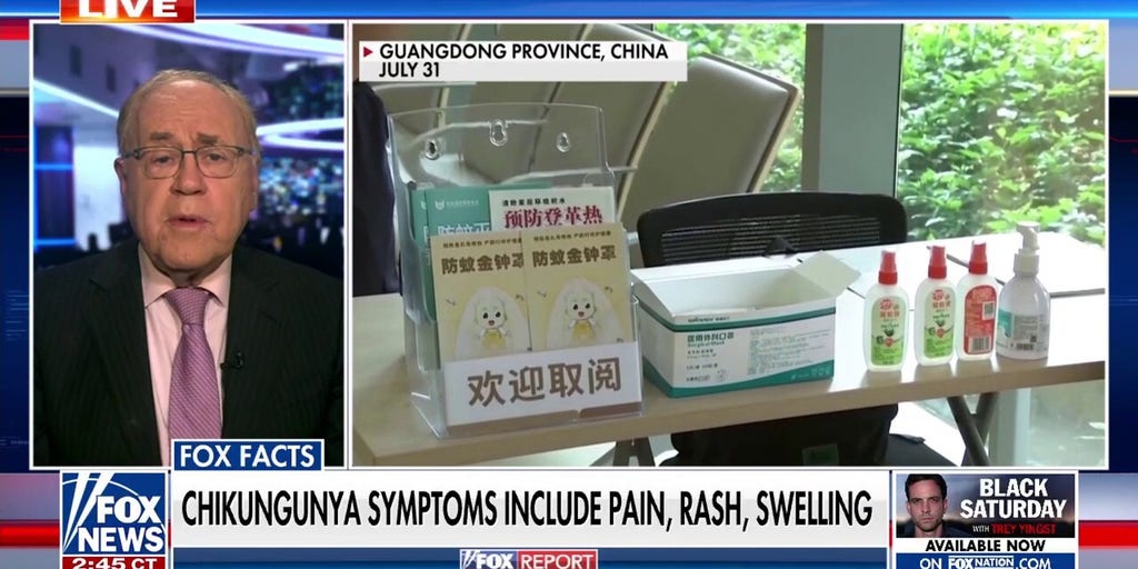 Could the mosquito-borne virus in China spread to the US?