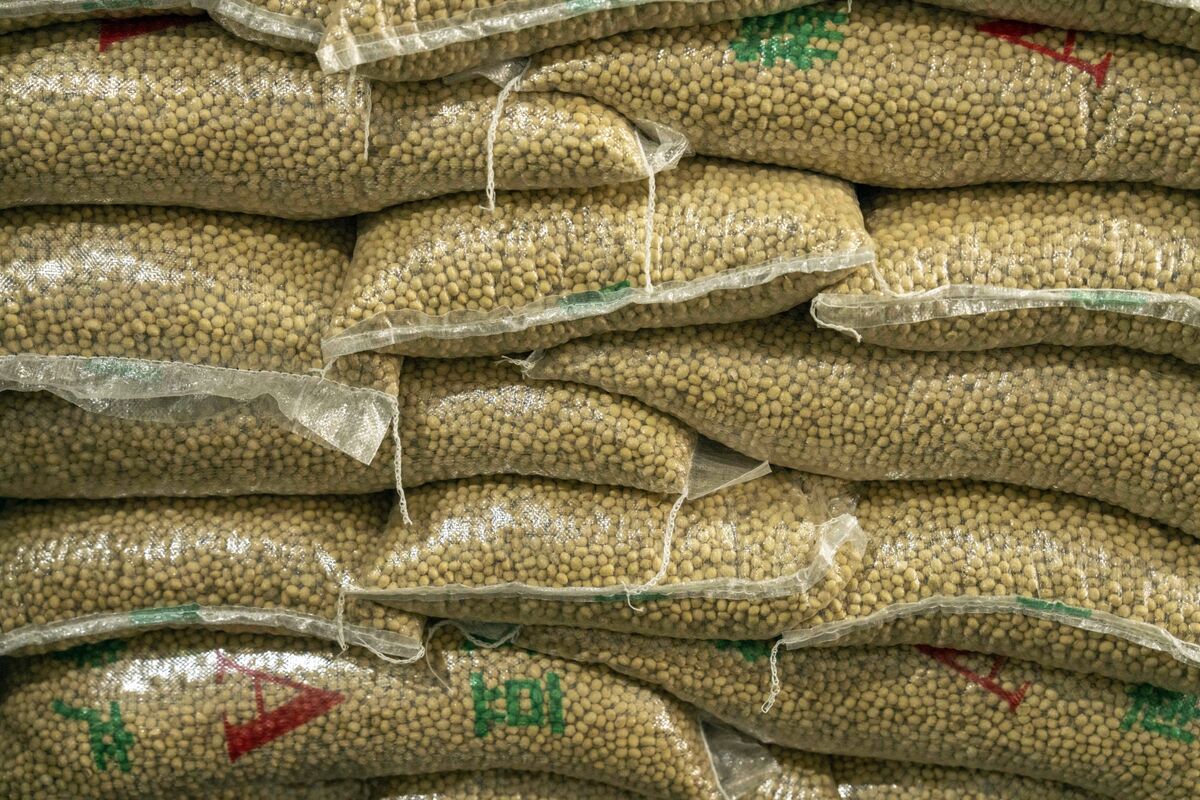 China Reshuffles Soy Trade to Counter Local Glut and US Tensions