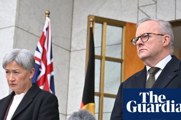 Afternoon Update: Australia to recognise Palestine; British backpacker pleads guilty to causing e-scooter death; and becoming smitten with a kitten | Australia news