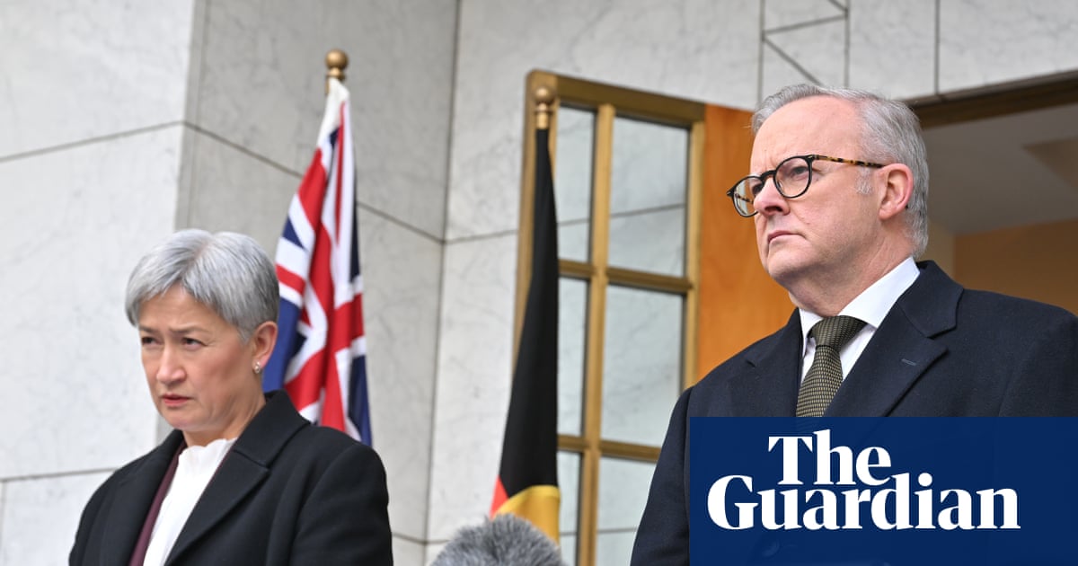 Afternoon Update: Australia to recognise Palestine; British backpacker pleads guilty to causing e-scooter death; and becoming smitten with a kitten | Australia news