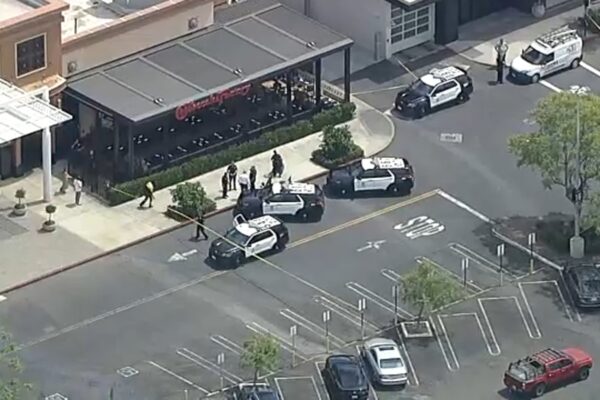 Man armed with AR-15 style rifle stabs woman with child outside Westfield Topanga Mall in San Fernando Valley, LAPD says