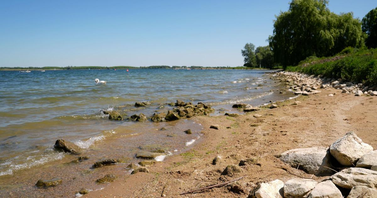 Temperatures hit 33.4C as UK enters fourth heatwave