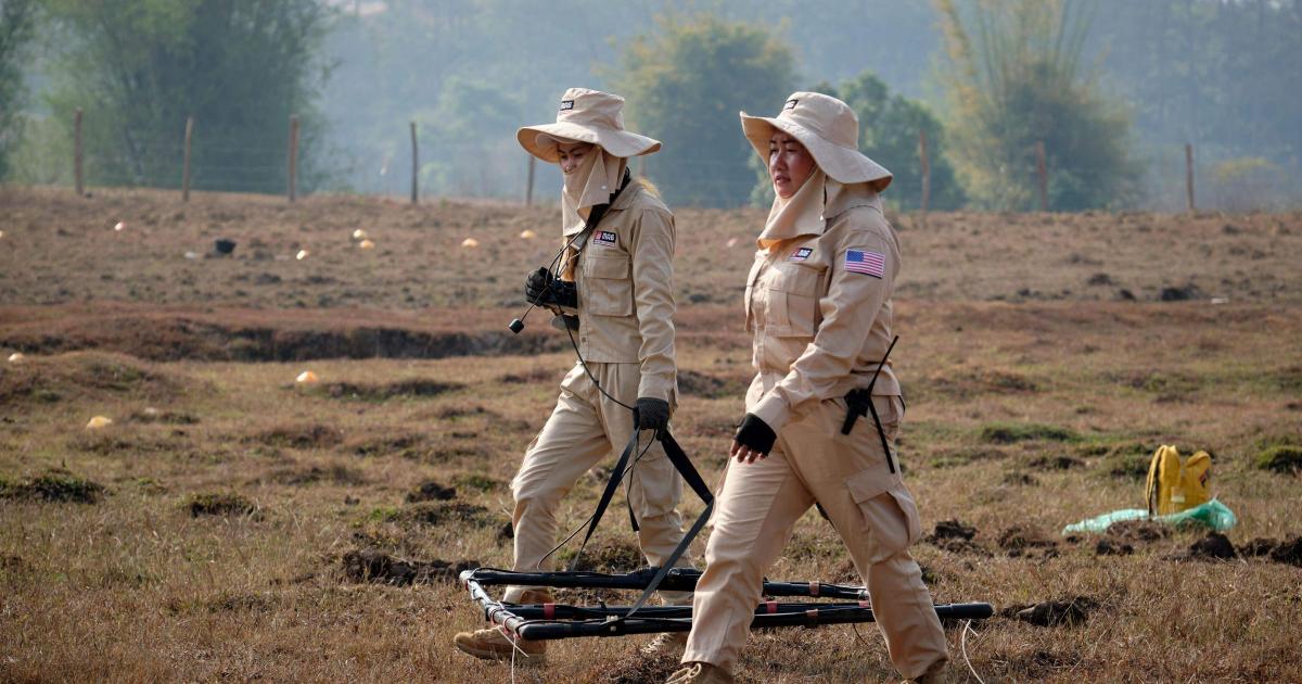 UK landmine charity wins global humanitarian prize