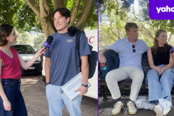 Travellers react to Virgin Australia allowing pets on domestic flights