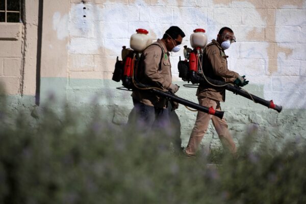 What is the chikungunya virus, how are countries such as China battling it? | Health News