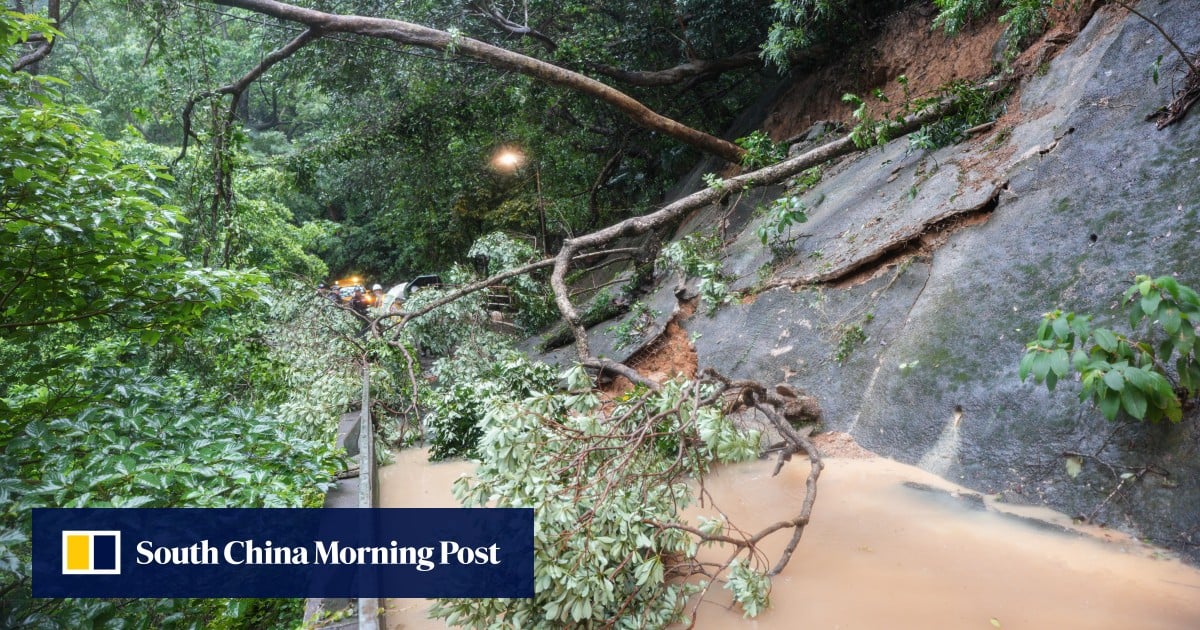 Hong Kong urged to clarify ‘extreme conditions’ criteria after record rainfall
