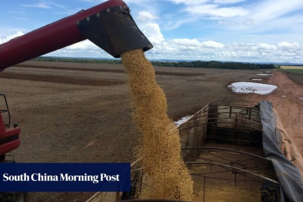 China’s early South American soybean buys squeeze US out of peak export window