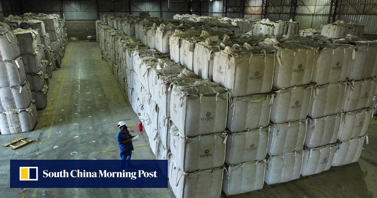 China opens door to Brazilian coffee as US slaps on new tariff