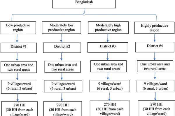 Evaluation of Bangladesh Healthy Eating Index (BD-HEI) | BMC Nutrition