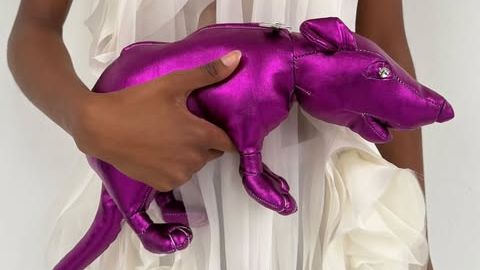 Rats Have Invaded Copenhagen Fashion Week
