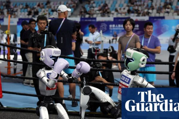 Box, run, crash: China’s humanoid robot games show advances and limitations | China