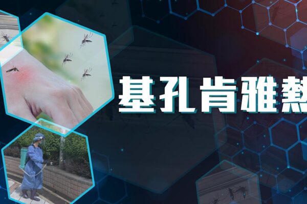 不斷更新｜基孔肯雅熱疫情總覽