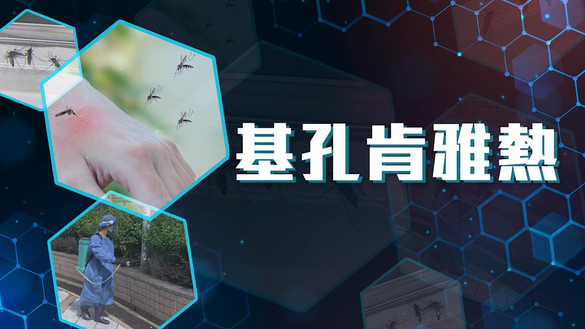 不斷更新｜基孔肯雅熱疫情總覽